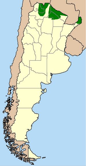 Carte Argentine vierge régions