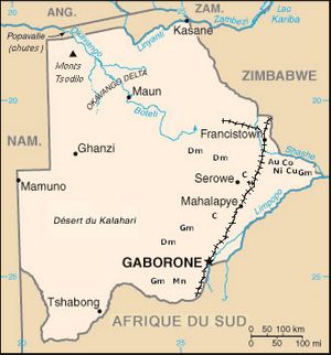 Carte Botswana vierge noms villes