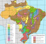 Carte age roches Brésil
