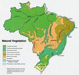 Carte végétation Brésil
