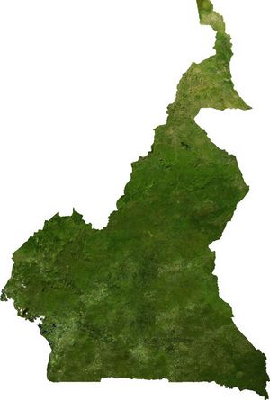 Carte topographique Cameroun