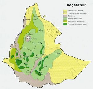 Carte végétation Éthiopie
