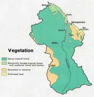 Carte végétation Guyana
