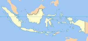 Carte Indonésie vierge