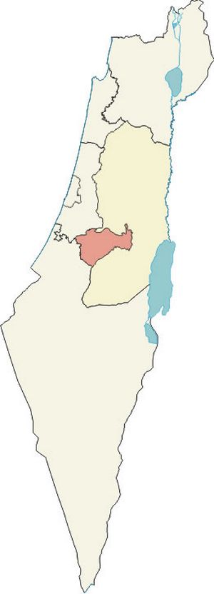 Carte Israël vierge couleur