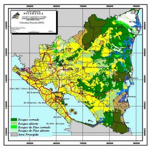 Carte végétation Nicaragua