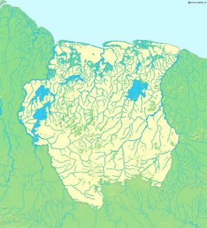 Carte fleuves Suriname