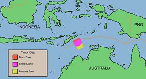 Carte Timor vierge couleur