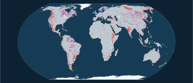 Carte des roches magmatiques en projection Equal Earth