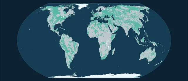 Carte des roches sédimentaires en projection Equal Earth