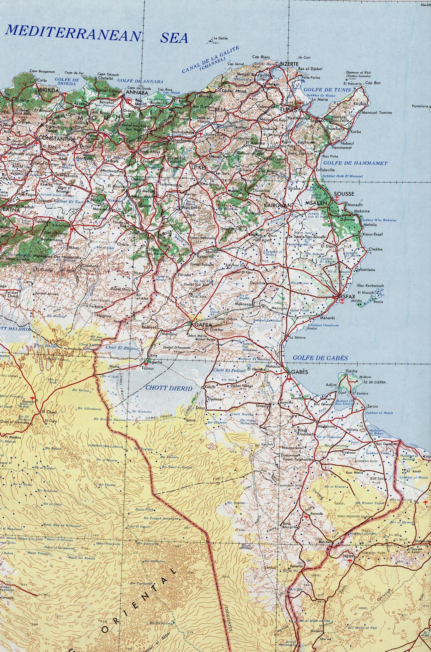 Carte végétation Tunisie